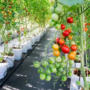 Growbag for Plants (Home Gardening+ Commercial Production