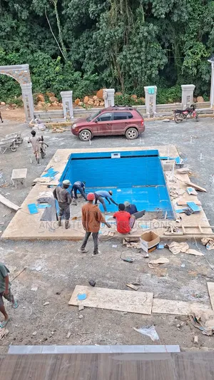 Swimming Pool Professionals
