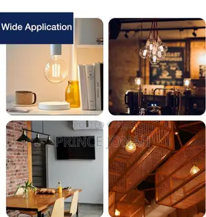 FLSNT G125 Decorative Globe Led Edison Bulbs