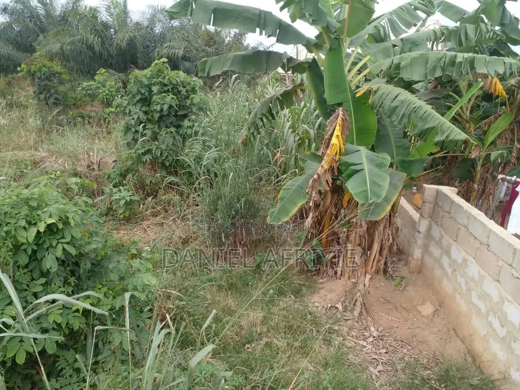 Full Plot of Land With Fence Wall for Sale at Atonsu Sawua