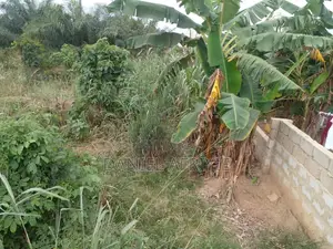 Full Plot of Land With Fence Wall for Sale at Atonsu Sawua