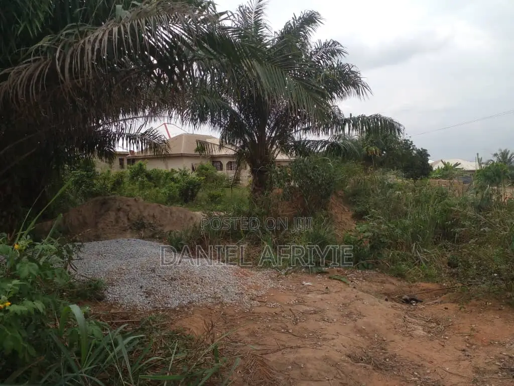 Full Plot of Land With Fence Wall for Sale at Atonsu Sawua
