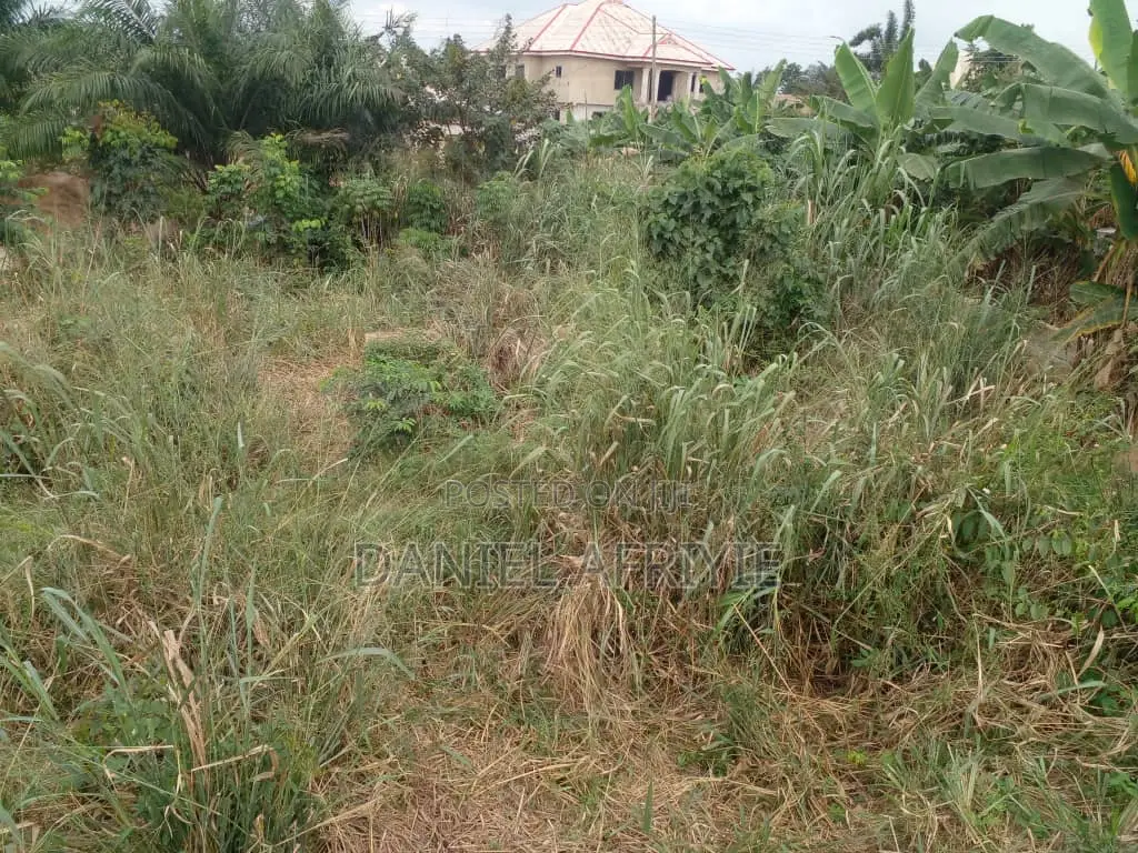 Full Plot of Land With Fence Wall for Sale at Atonsu Sawua
