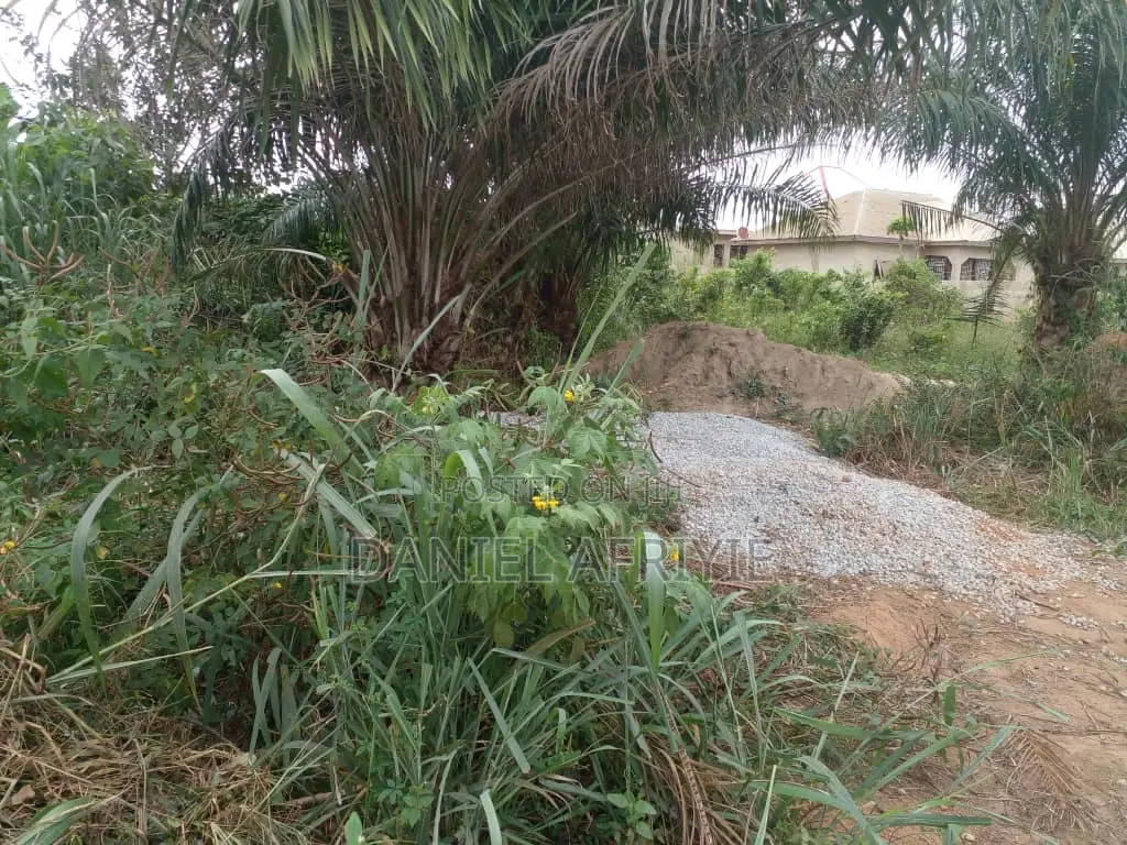 Full Plot of Land With Fence Wall for Sale at Atonsu Sawua