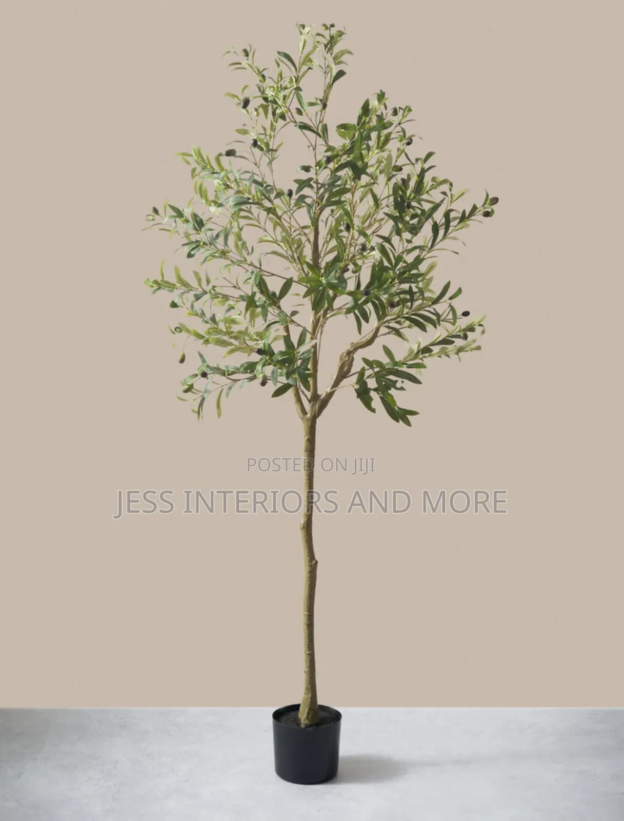 Artificial Olive Plant ( 6ft)