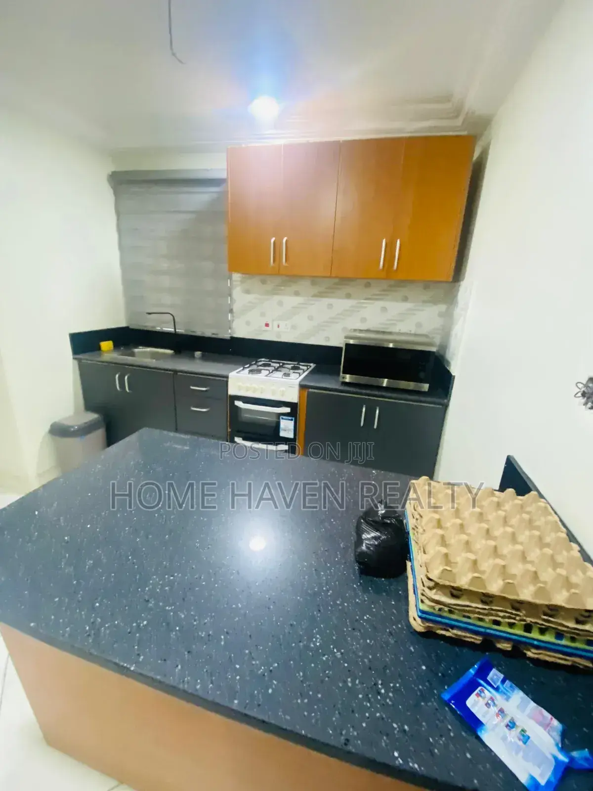 Furnished 1bdrm House in Tesano for rent