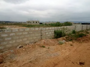 Genuine Land - Katamanso