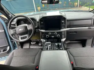 Ford F-150 Platinum 2021 Burgundy