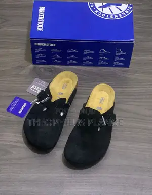 Boston Original Birkenstocks