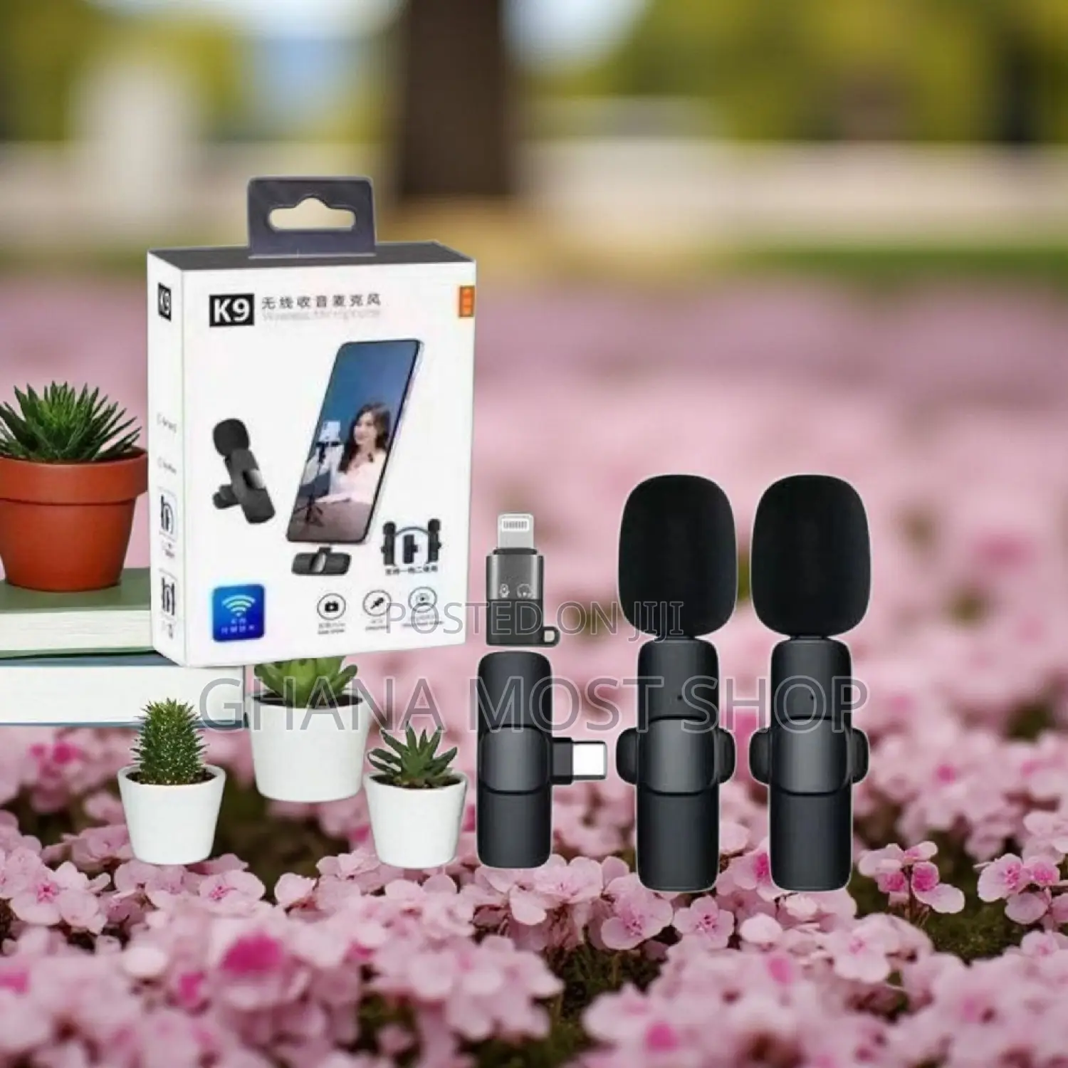 Wireless Microphone 2 in 1 Microphone (20865)