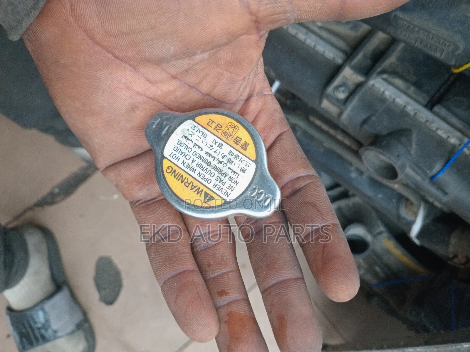 Radiator Cover/Cap