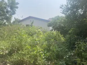 Half Plot for Sale