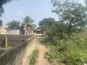 Half Plot for Sale