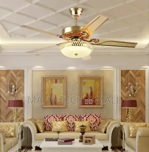 Metal Anti Dust Golden Fan With Light