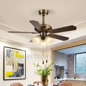 Vintage Luxurious Fan With Light