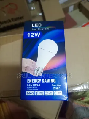 Chargeable Bulbs 12w Wholesale and Retail