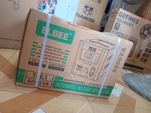 Heavy Performing Stabilizer 5000va