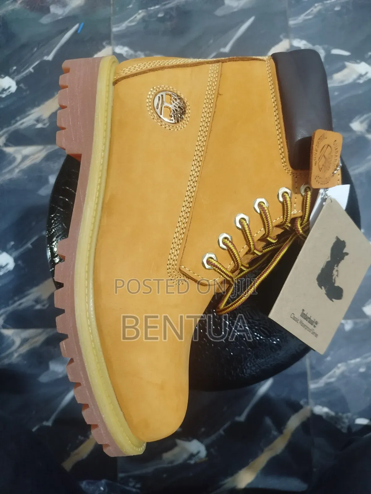 Shoe Timberland