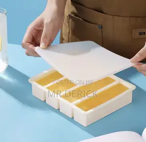 Silicone Mold Frozen Ice Cube Tray for 2 and 4cell Storage Container