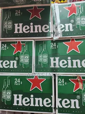 Heineken Bottle X24