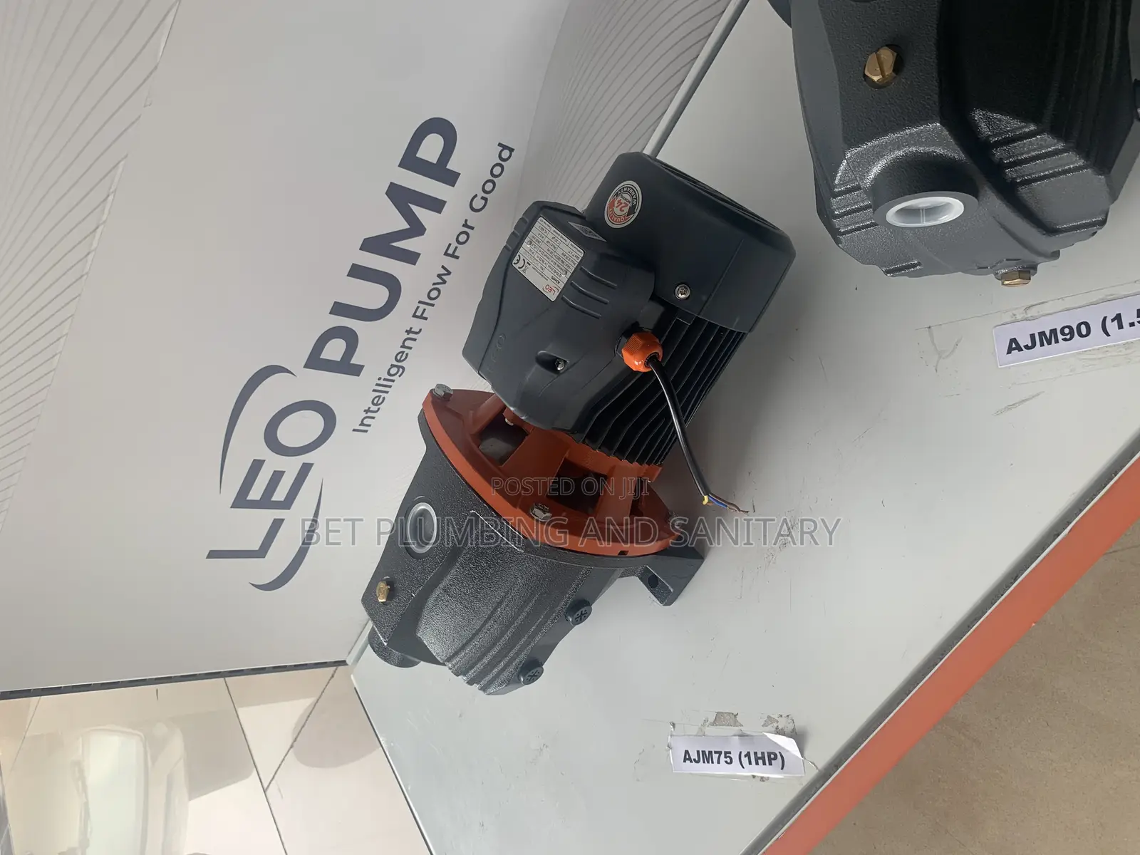Complete Leo 1hp Water Pump