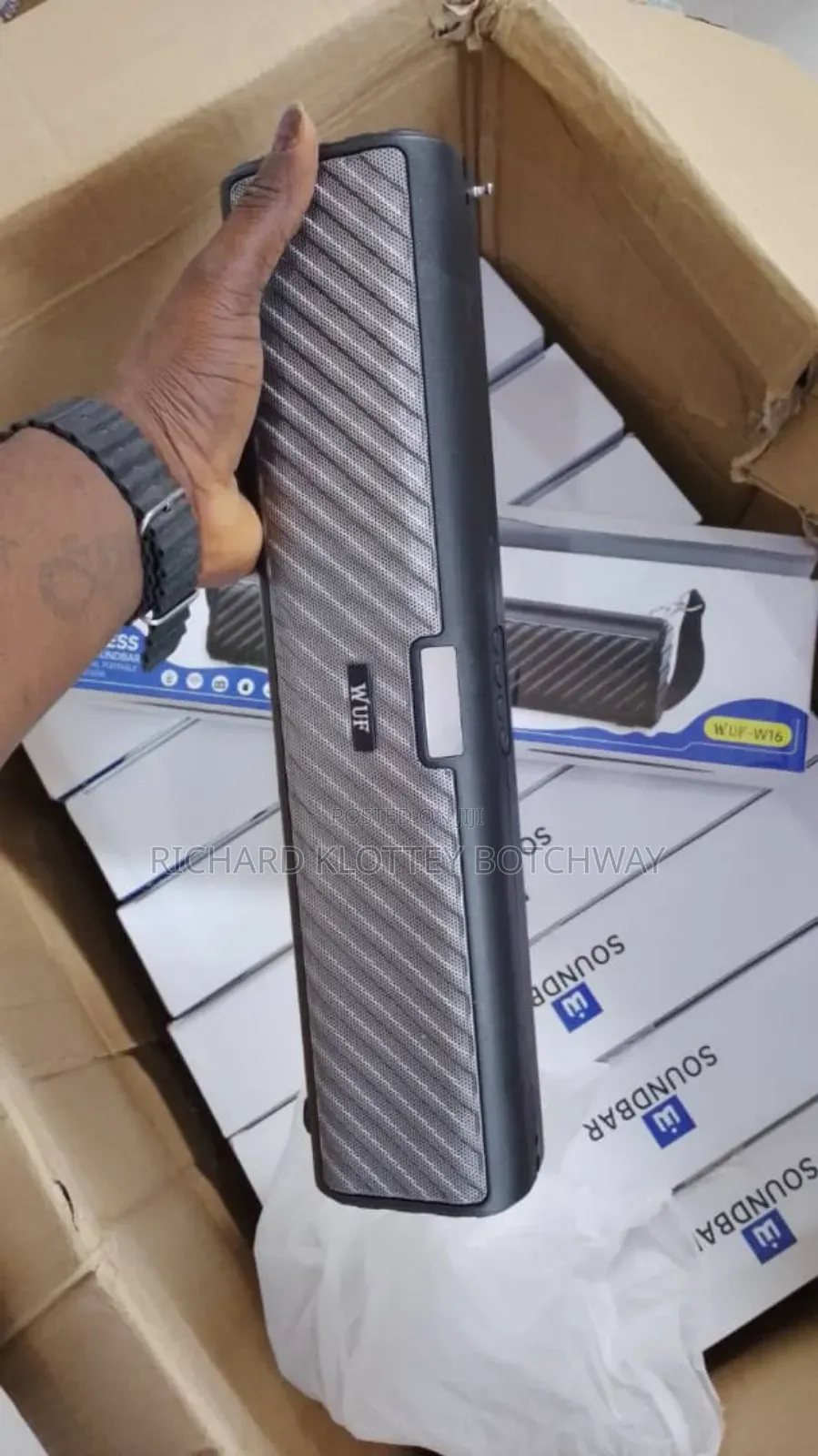 W Wireless Professional Portable Speaker