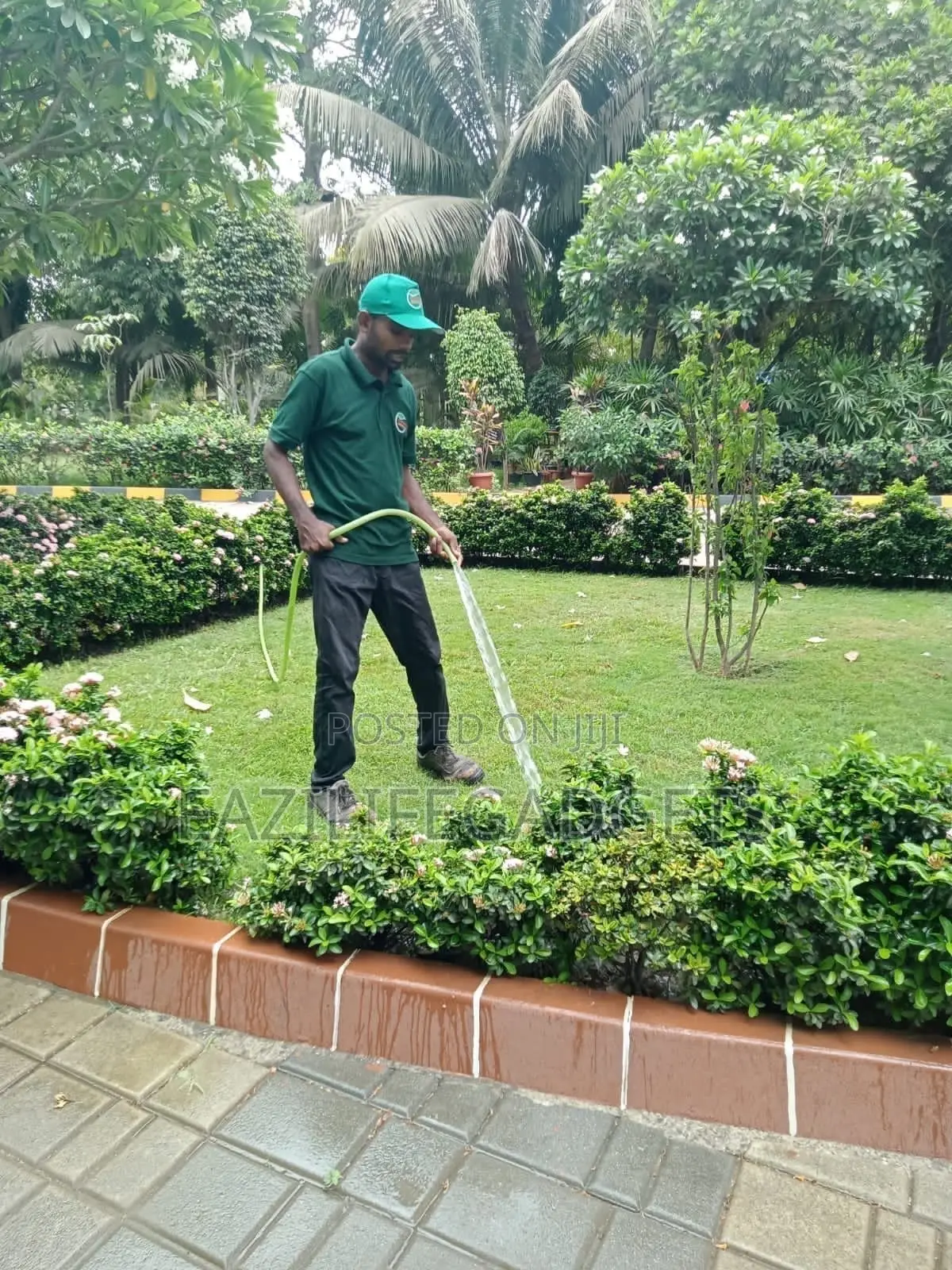 Best Garden Design, Maintenance Service