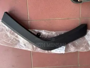 Toyota Rav4 2019-2023 Back/Rear Fender Moulding
