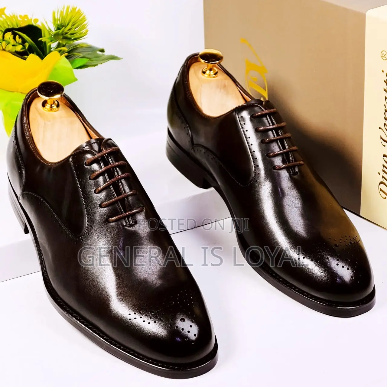 Dino Verratti Lace Dark Coffee Black Men Shoe