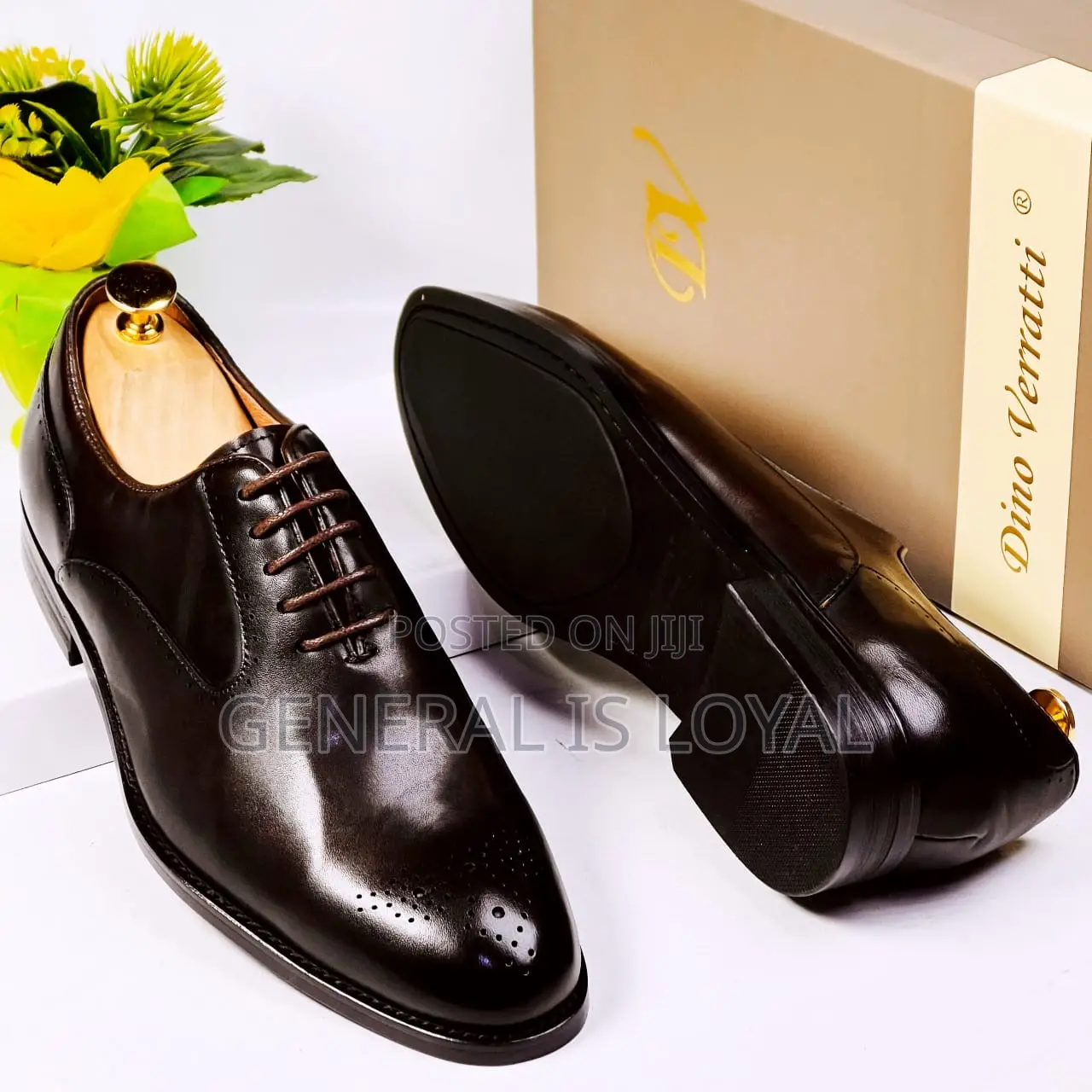 Dino Verratti Lace Dark Coffee Black Men Shoe