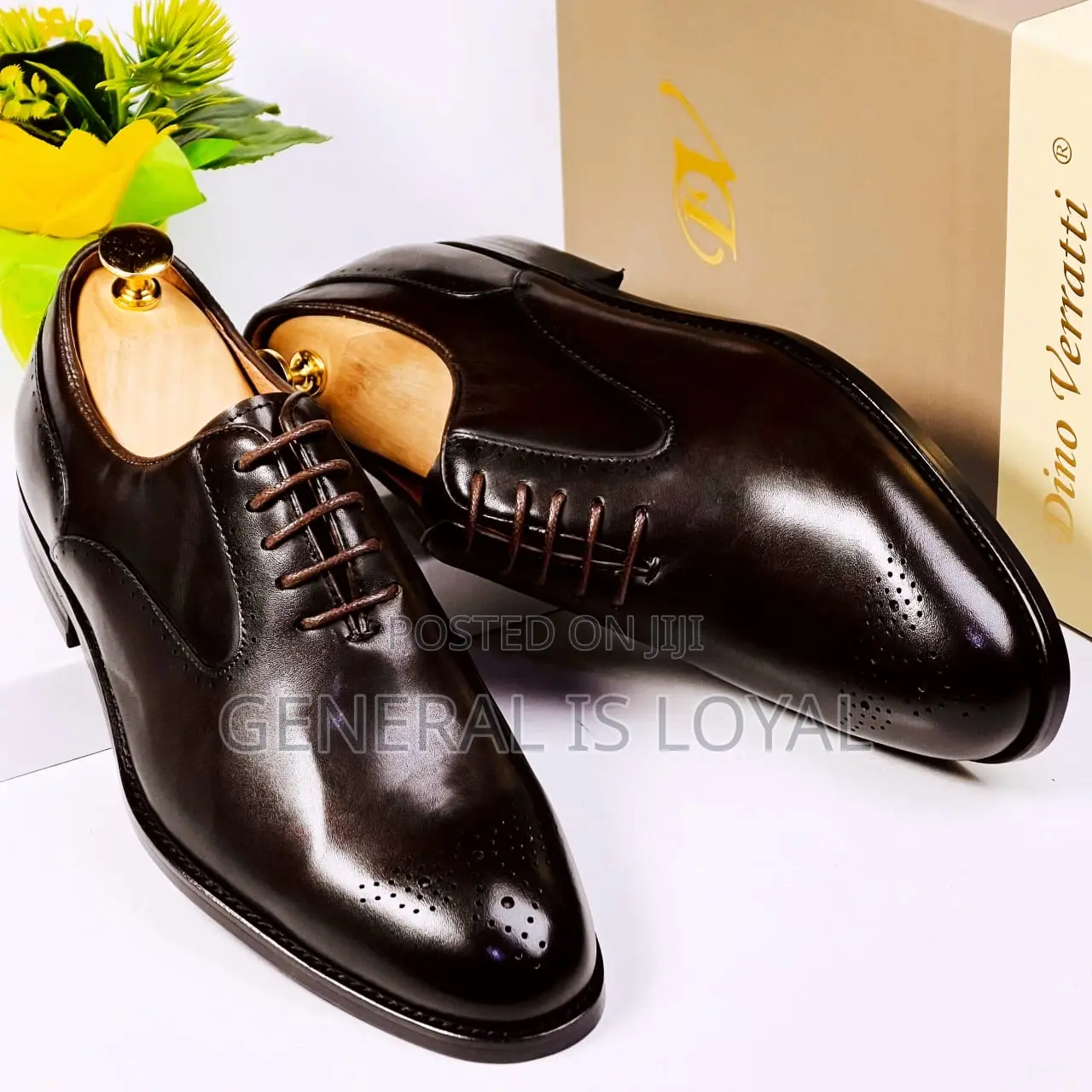 Dino Verratti Lace Dark Coffee Black Men Shoe