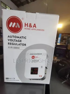 Avoid Costly Repairs With 5000w Stabilizer
