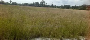 Over 2000 Acres of Land for Sale in Dawa