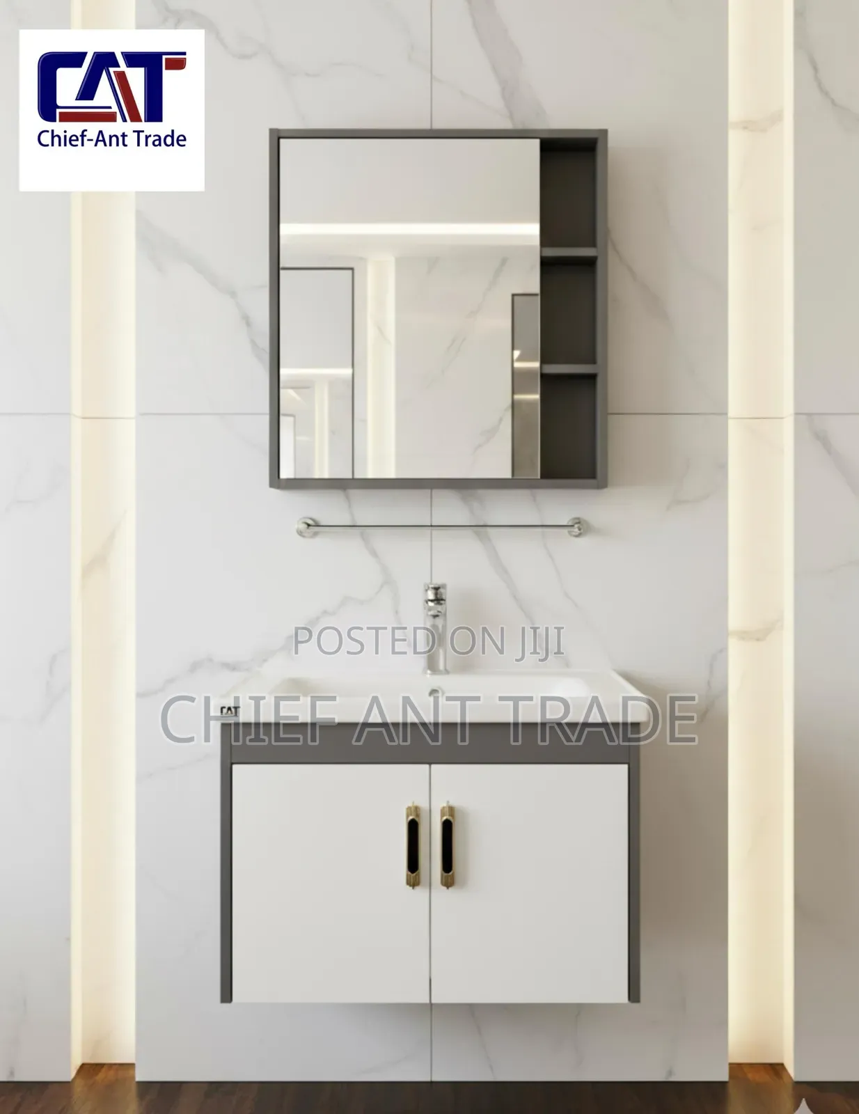 Cabinet Basin With Cabinet Mirror