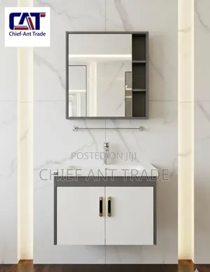Cabinet Basin With Cabinet Mirror