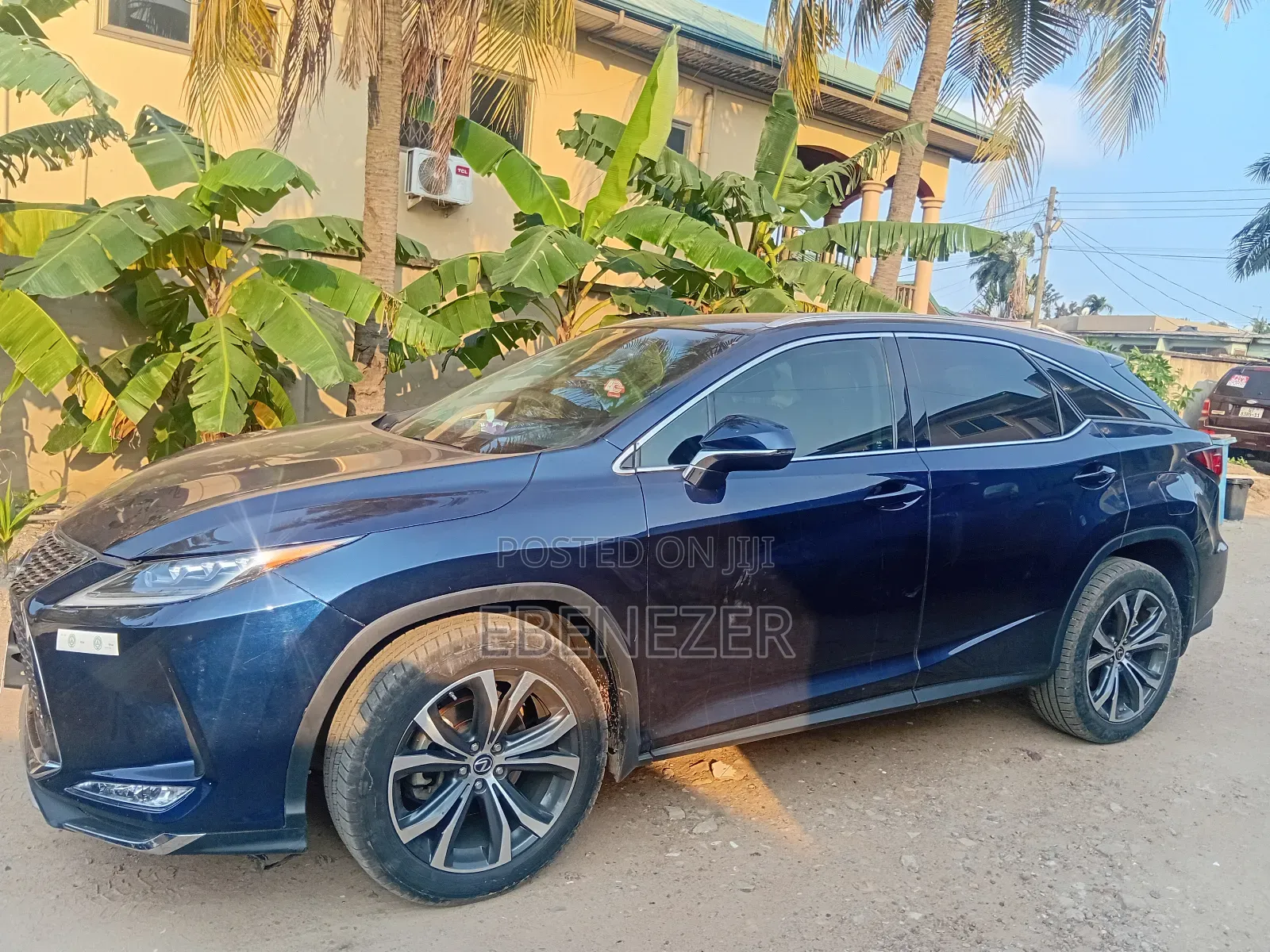 Car Rentals