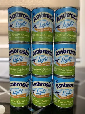 Ambrosia Custard - Strawberry/Choco/Light