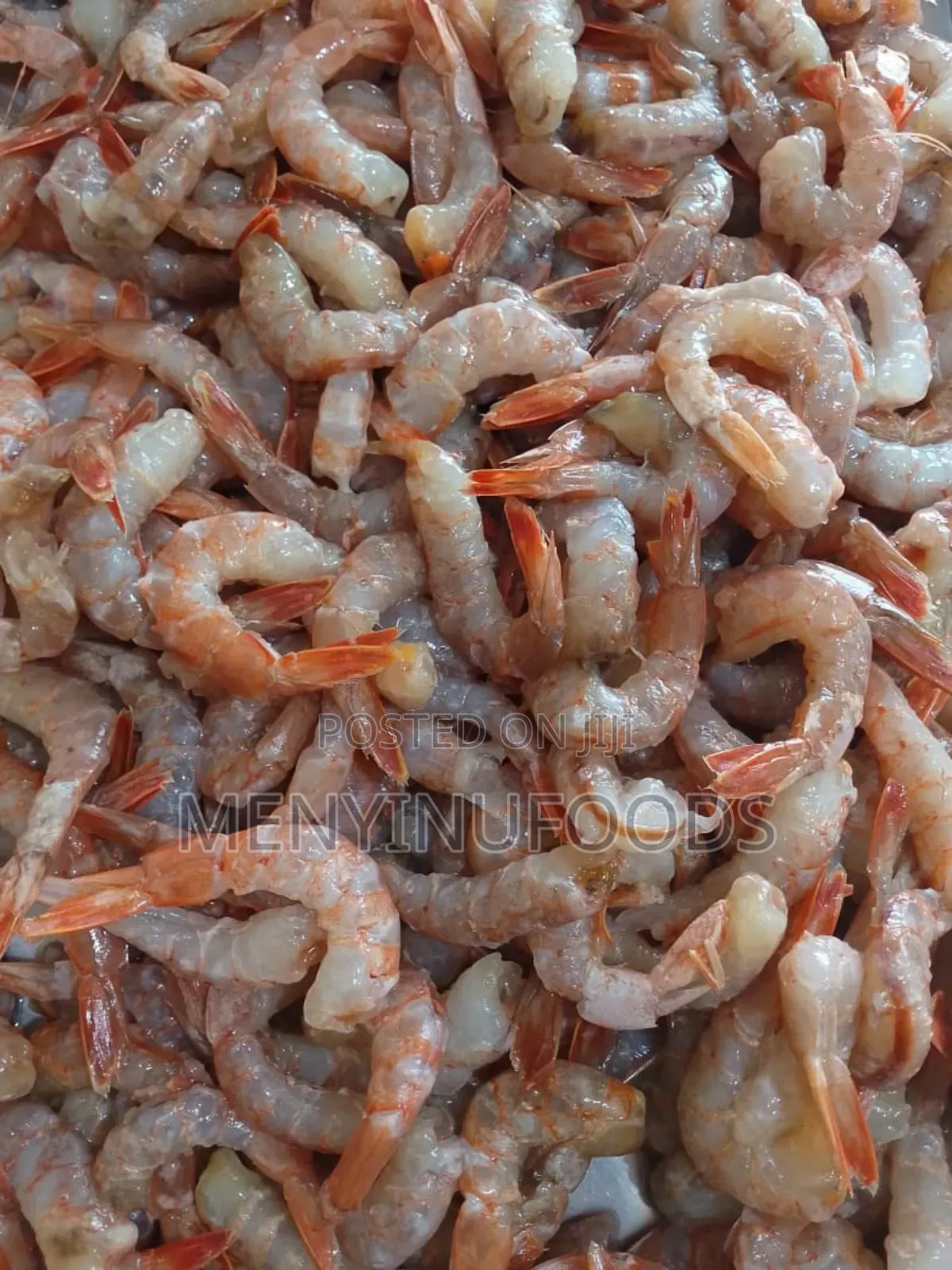 Fresh Shrimp – Direct From the Ocean(Wholesale Retail)