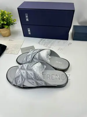 Dior Homme Slide Gray