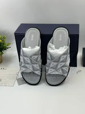 Dior Homme Slide Gray