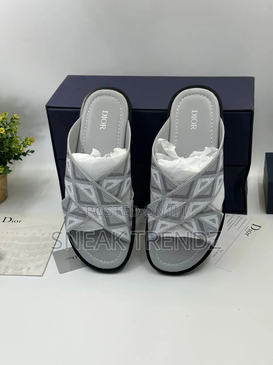 Dior Homme Slide Gray