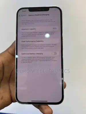 Apple iPhone 12 Pro Max 256 GB Silver