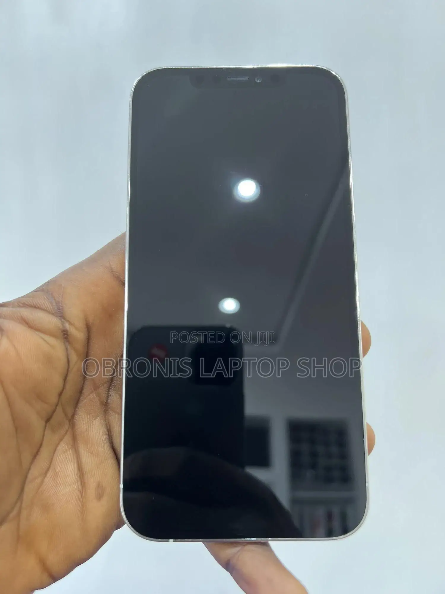 Apple iPhone 12 Pro Max 256 GB Silver