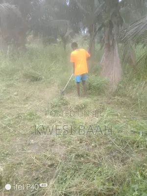 Domestic and Large-Scale Weeding,Grass Cutting