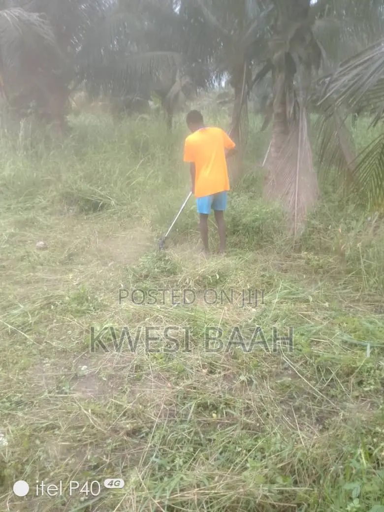 Domestic and Large-Scale Weeding,Grass Cutting
