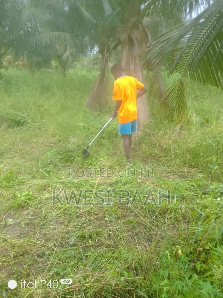 Domestic and Large-Scale Weeding,Grass Cutting