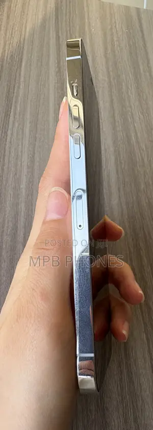Apple iPhone 12 Pro Max 256 GB Silver