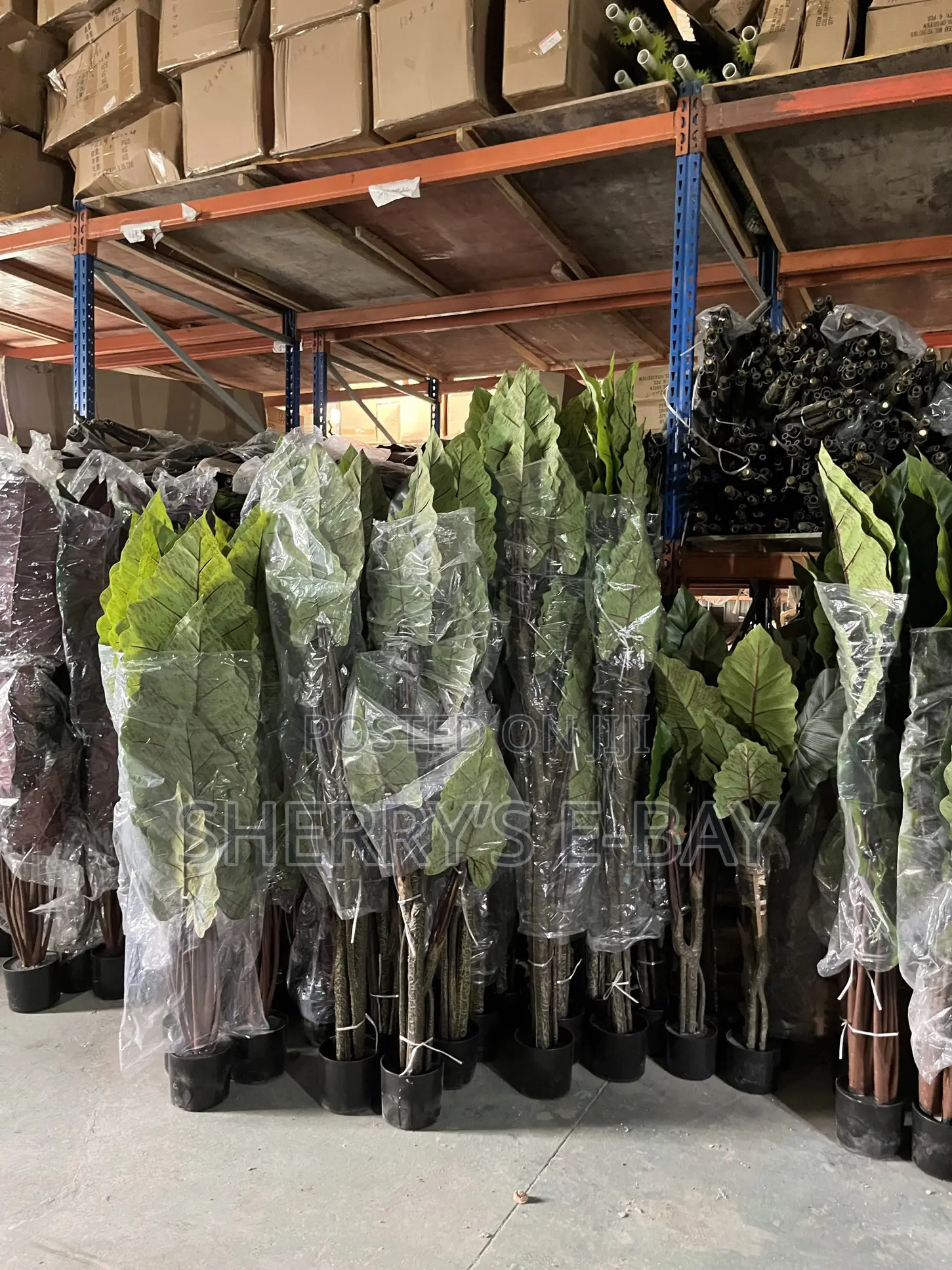 Rainbow Taro Artificial Plant