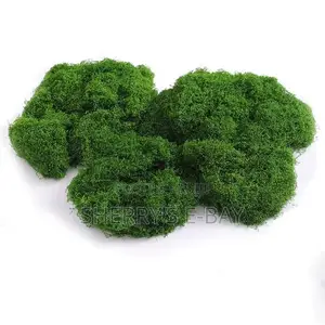 Artificial Moss