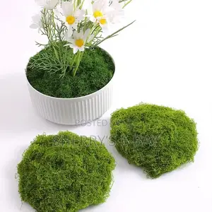 Artificial Moss